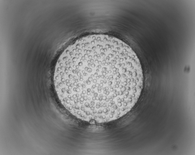 X0000113930354200911061224