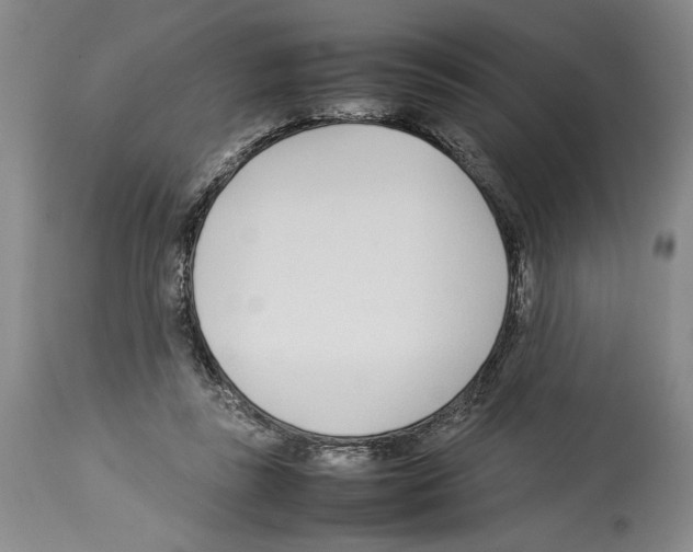 X0000113930355200911061224