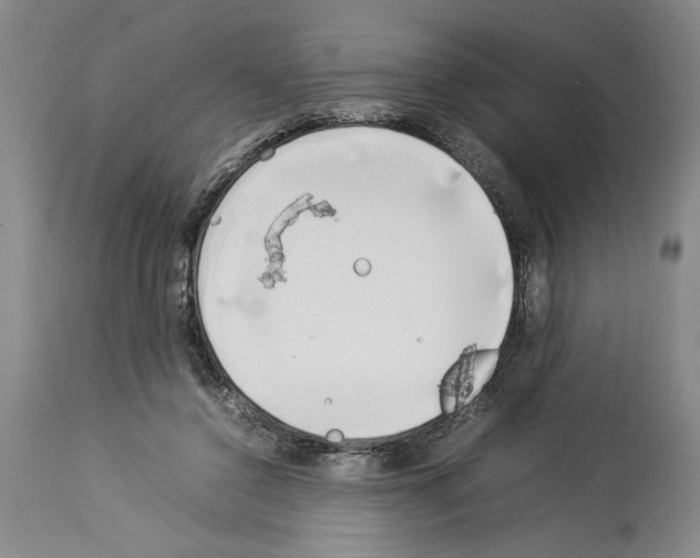 X0000113930356200911061224