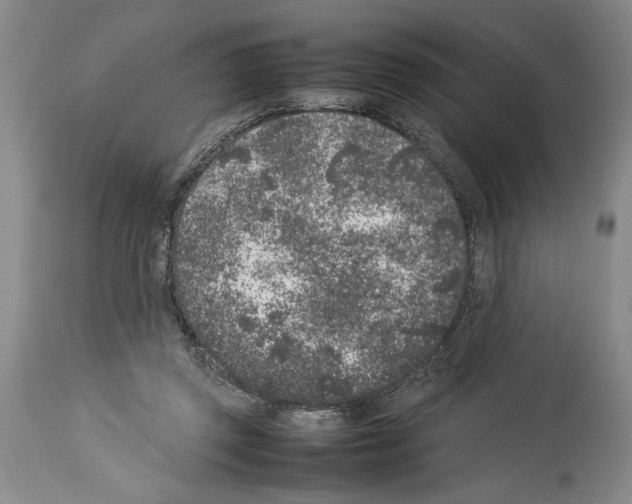 X0000113930357200911061224