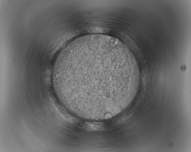 X0000113930359200911061224