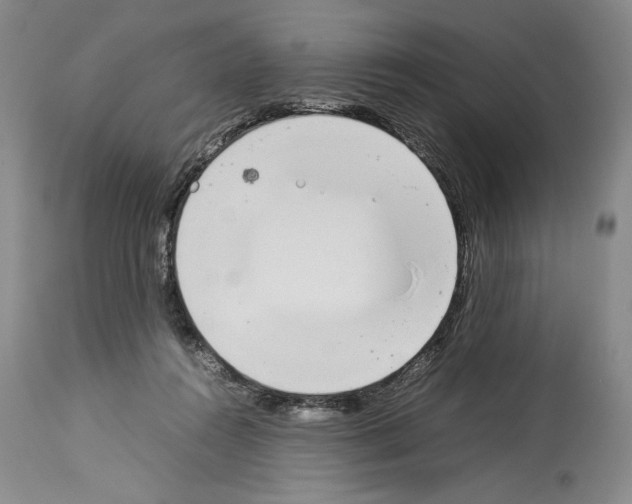 X0000113930360200911061224
