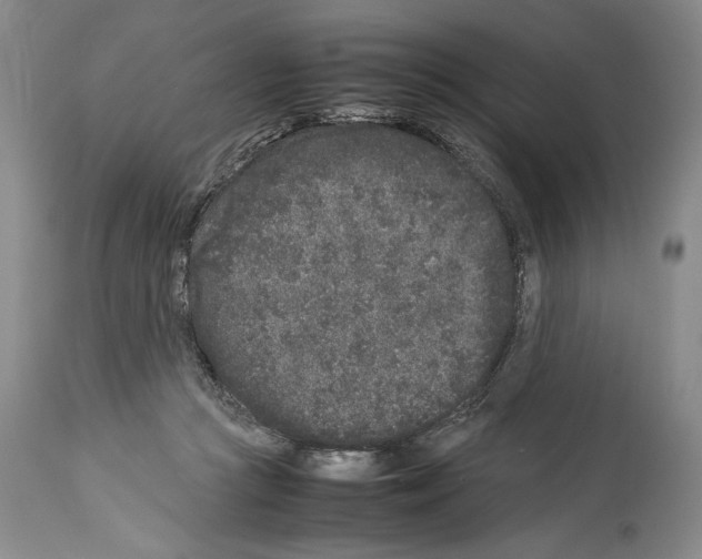 X0000113930361200911061224