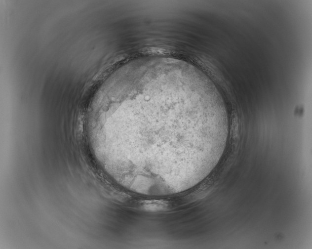 X0000113930363200911061224