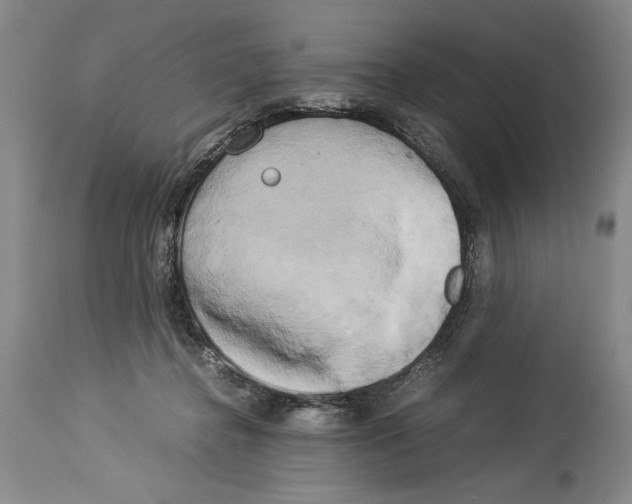 X0000113930364200911061224