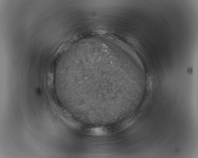 X0000113930365200911061224