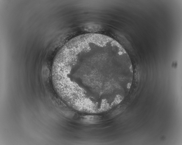 X0000113930371200911061224
