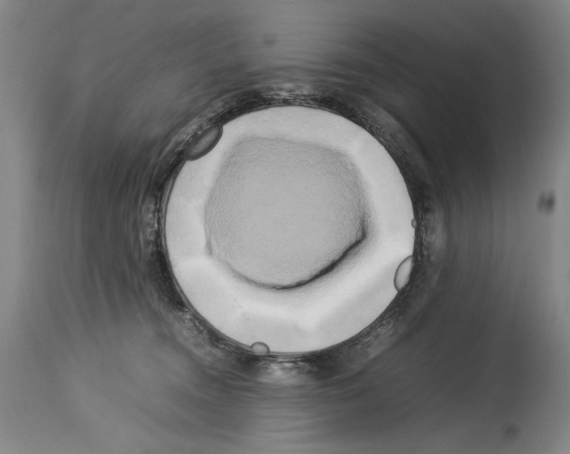 X0000113930372200911061224