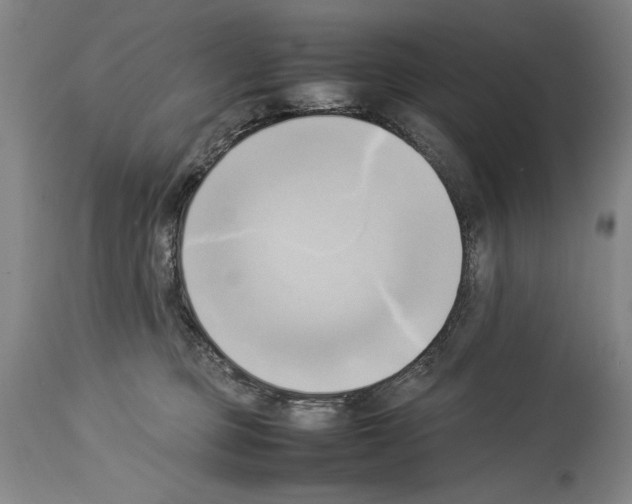 X0000113930373200911061224