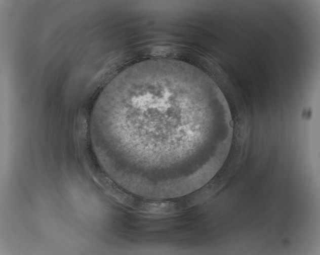 X0000113930375200911061224