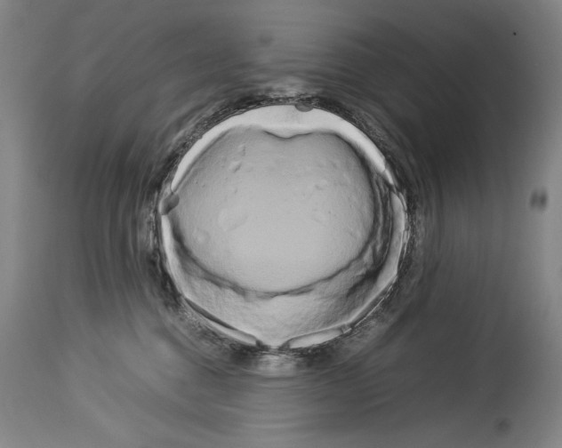 X0000113930376200911061224