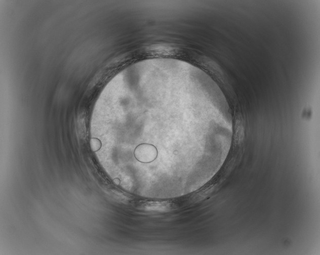 X0000113930377200911061224