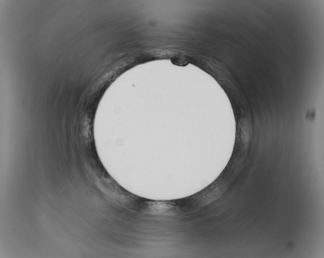 X0000113930380200911061224