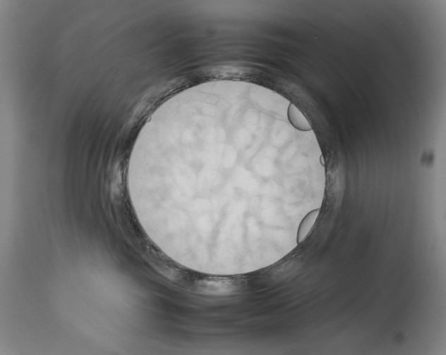 X0000113930381200911061224
