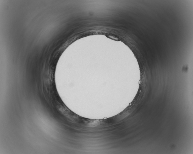 X0000113930382200911061224