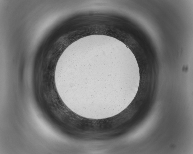 X0000113930383200911061225