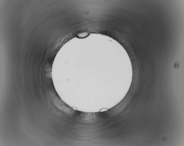 X0000113930384200911061225