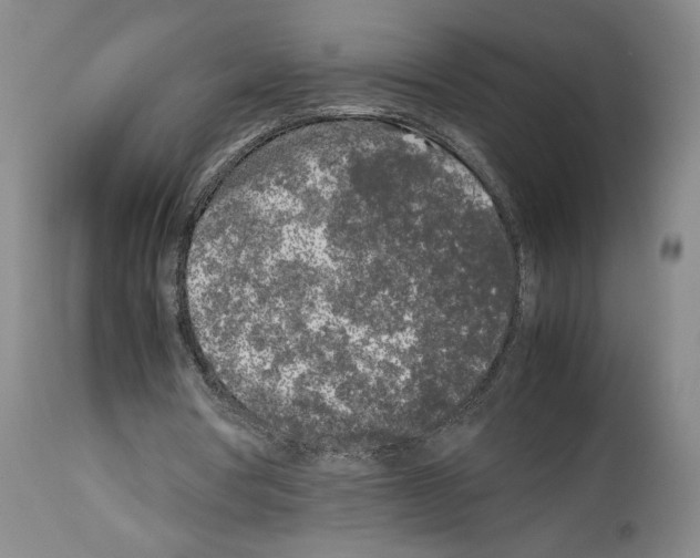 X0000113930386200911061224