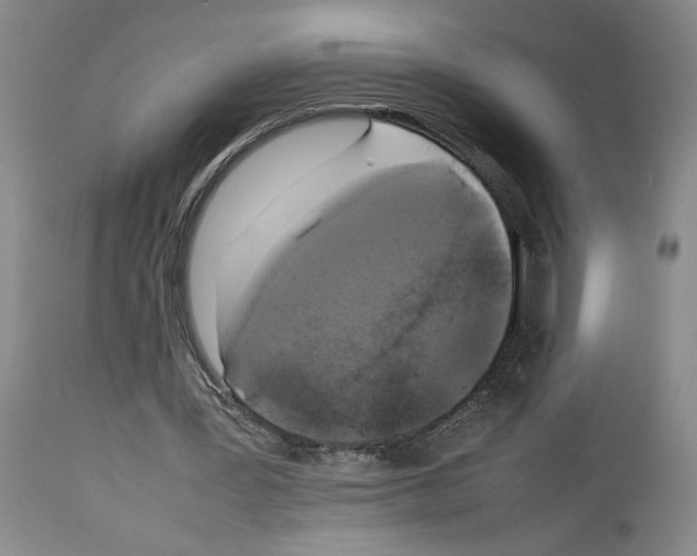 X0000113930387200911061224