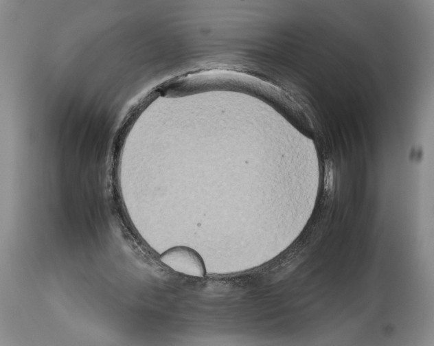 X0000113930388200911061224