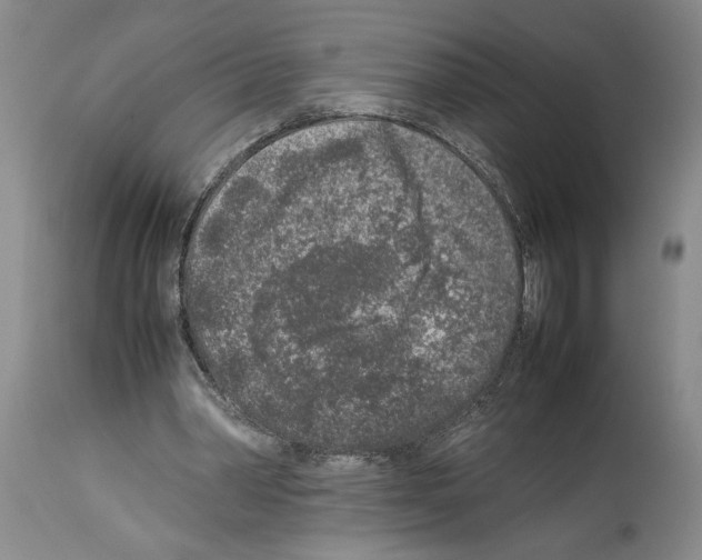 X0000113930390200911061224