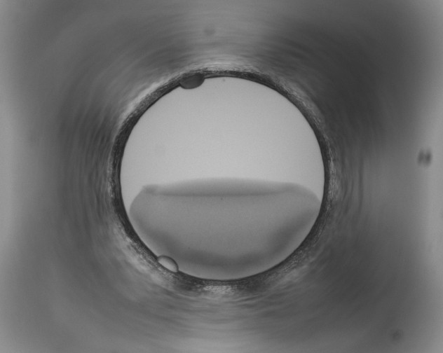 X0000113930391200911061224