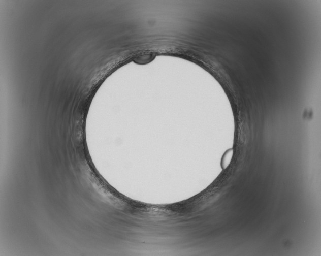 X0000113930393200911061224
