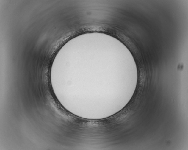 X0000113930394200911061224