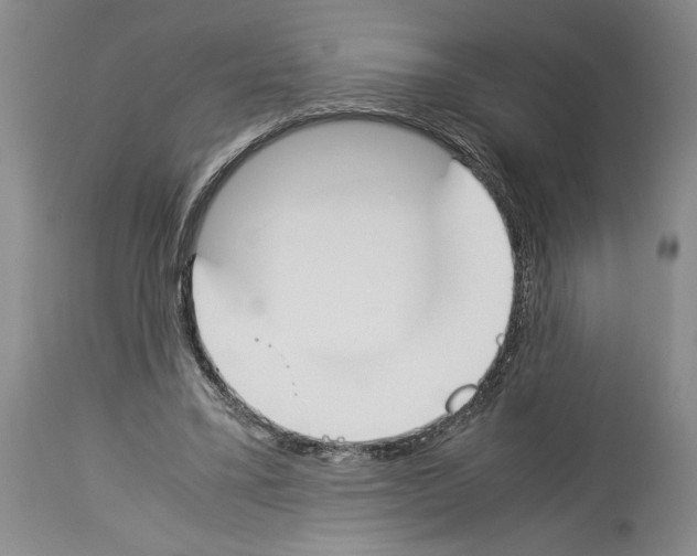 X0000113930395200911061224
