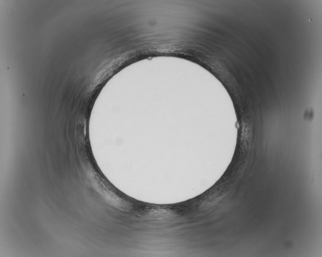X0000113930397200911061224