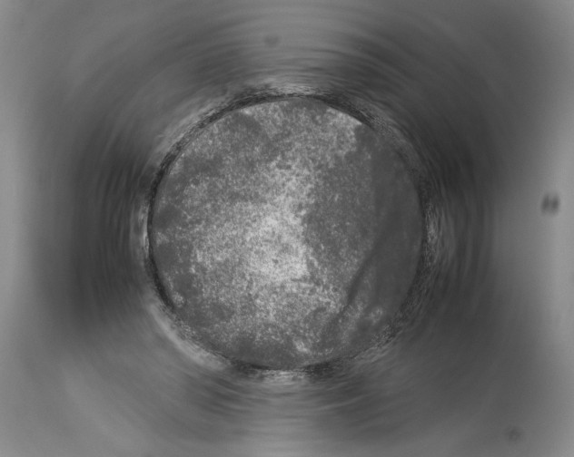 X0000113930398200911061224