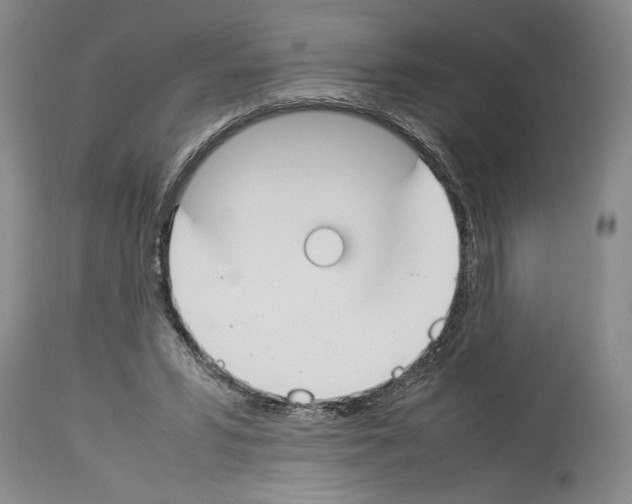 X0000113930399200911061223