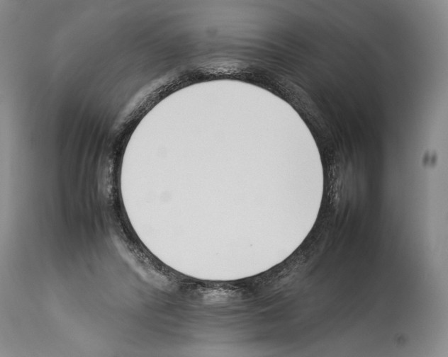 X0000113930400200911061223