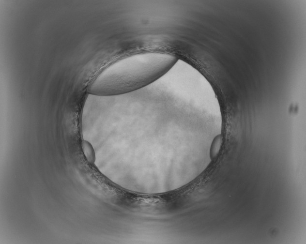 X0000113930401200911061223