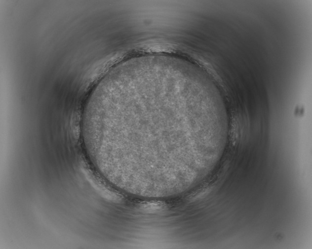 X0000113930402200911061223