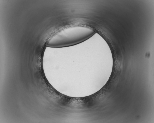 X0000113930403200911061223