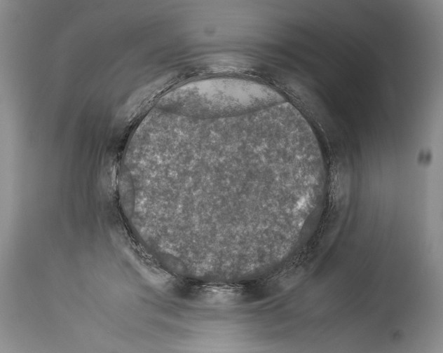 X0000113930405200911061223