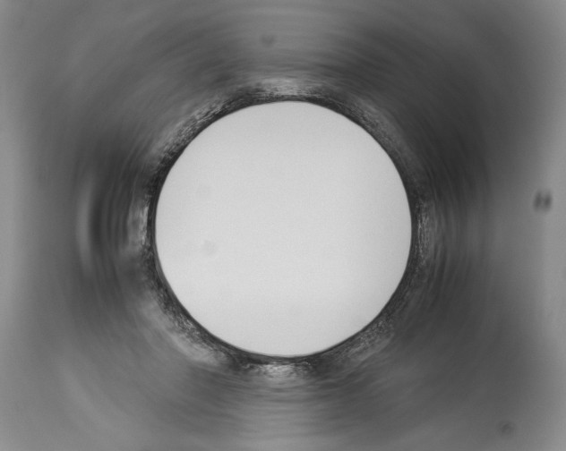 X0000113930406200911061223