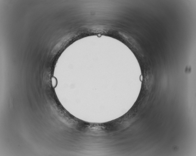 X0000113930407200911061223