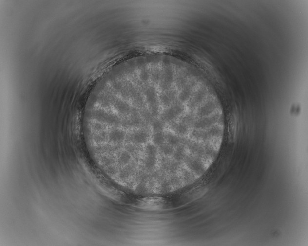 X0000113930410200911061223