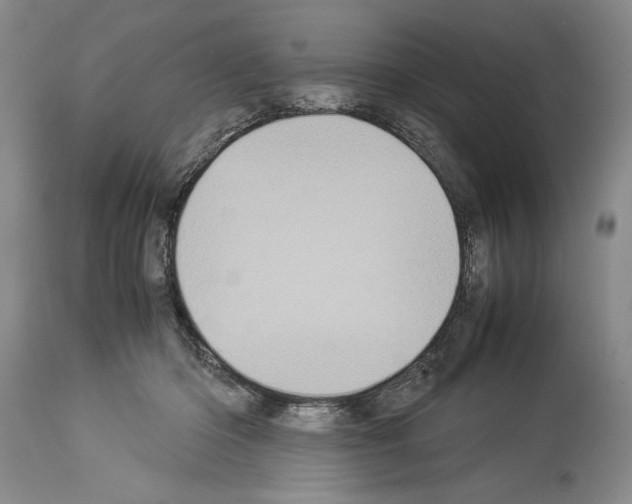 X0000113930414200911061223