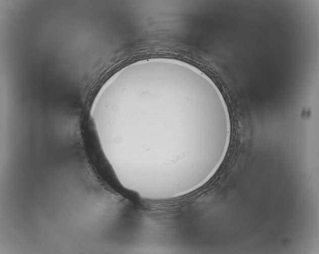X0000113930415200911061223