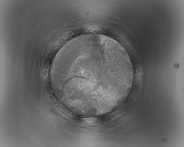 X0000113930417200911061223