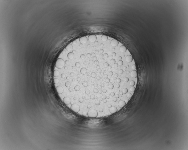 X0000113930418200911061223