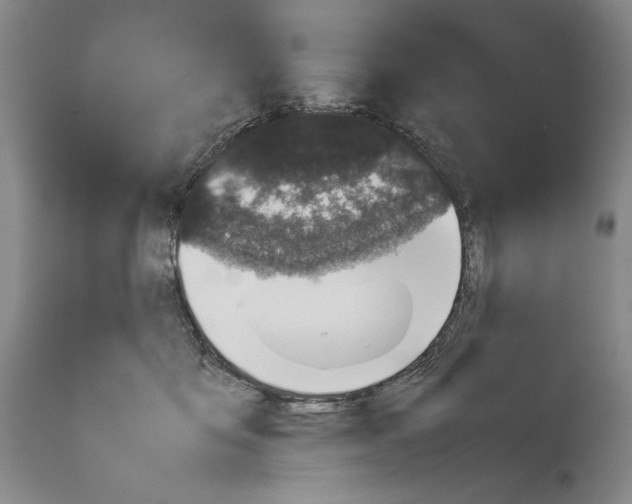 X0000113930419200911061223