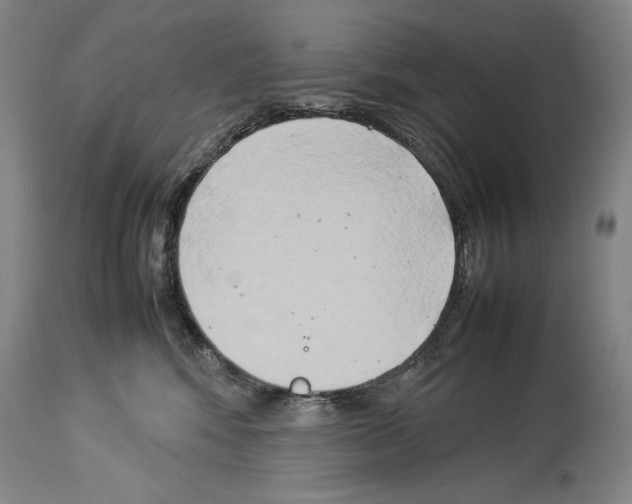 X0000113930424200911061223