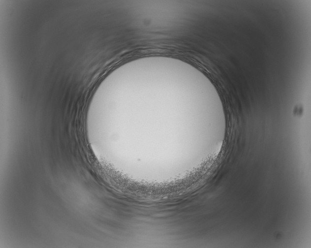 X0000113930425200911061223