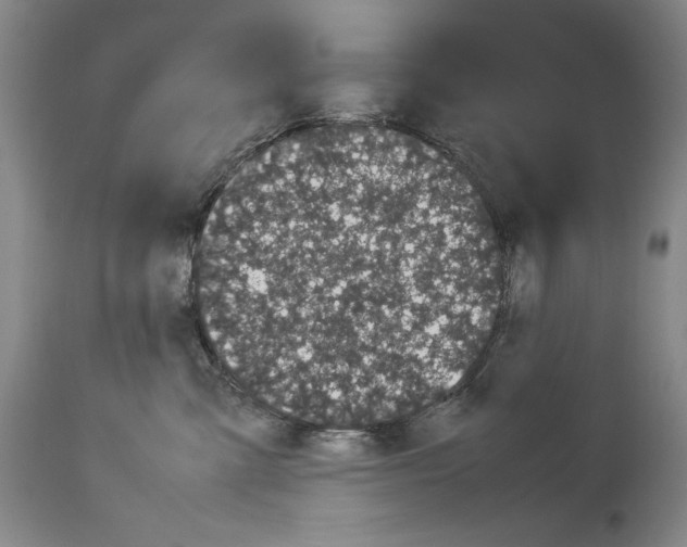 X0000113930427200911061223