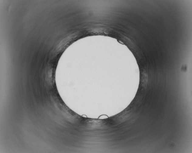 X0000113930428200911061223