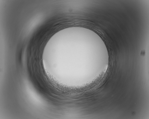 X0000113930429200911061223